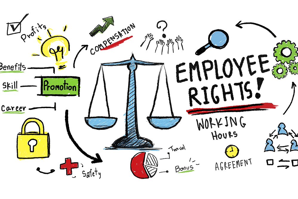 What does Employment Law Include?