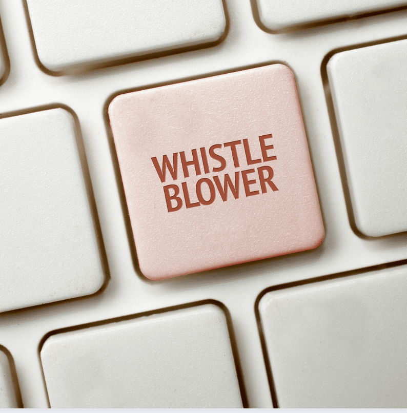 How are whistleblowers protected in NJ? David H. Kaplan Attorney at Law